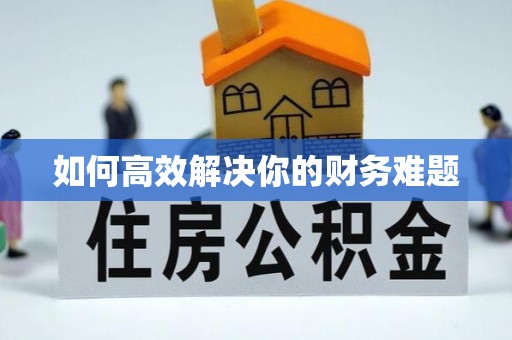 珠山如何高效解决你的财务难题