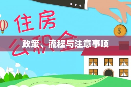 珠山政策、流程与注意事项