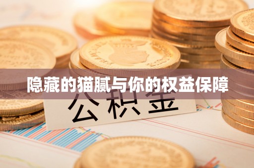 珠山隐藏的猫腻与你的权益保障