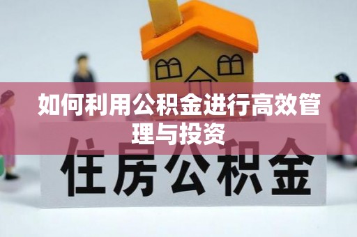 珠山如何利用公积金进行高效管理与投资