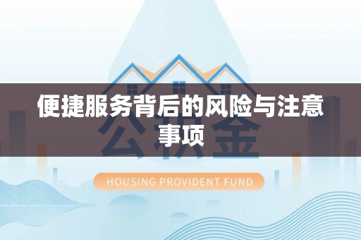 珠山便捷服务背后的风险与注意事项