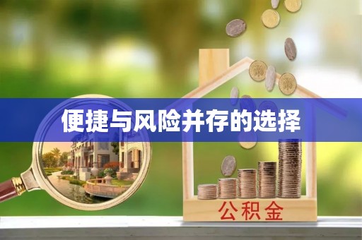 珠山便捷与风险并存的选择